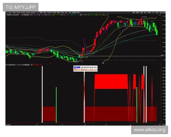 欧博代理商管理系统2.0在提升代理商合作效率中的具体应用技巧与操作建议